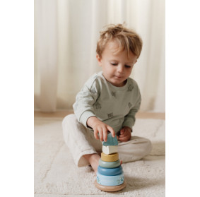 Piramida Forest Friends FSC Little Dutch LD7242