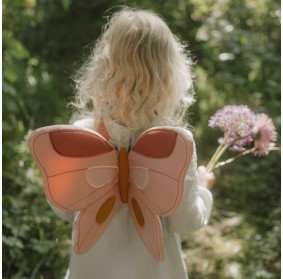 Skrzydła wróżki i magiczna różdżka Little Dutch CL24099035