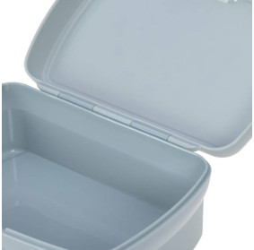 Lassig Zestaw na lunch Lunchbox + Tritanowa butelka - bidon 460 ml About Friends Dinozaur