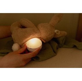 Little Dutch Królik interaktywny Newborn Naturals