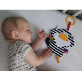 Mom's Care Kot Pasiak szeleścik