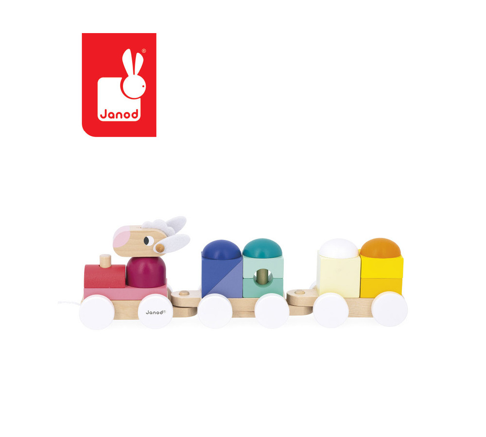Janod Pociąg drewniany z klockami i zwierzątkami do ciągnięcia Zigolos 12m+