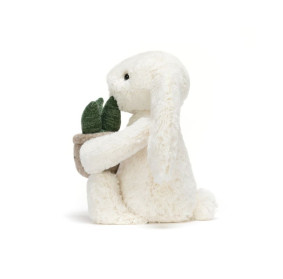 Króliczek Kremowy z Aloesem 31 cm, Jellycat