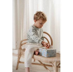 Sorter Forest Friends FSC Little Dutch