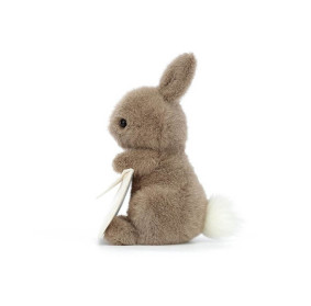 Króliczek listonosz 19cm, Jellycat