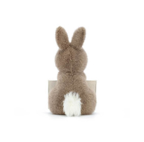 Króliczek listonosz 19cm, Jellycat